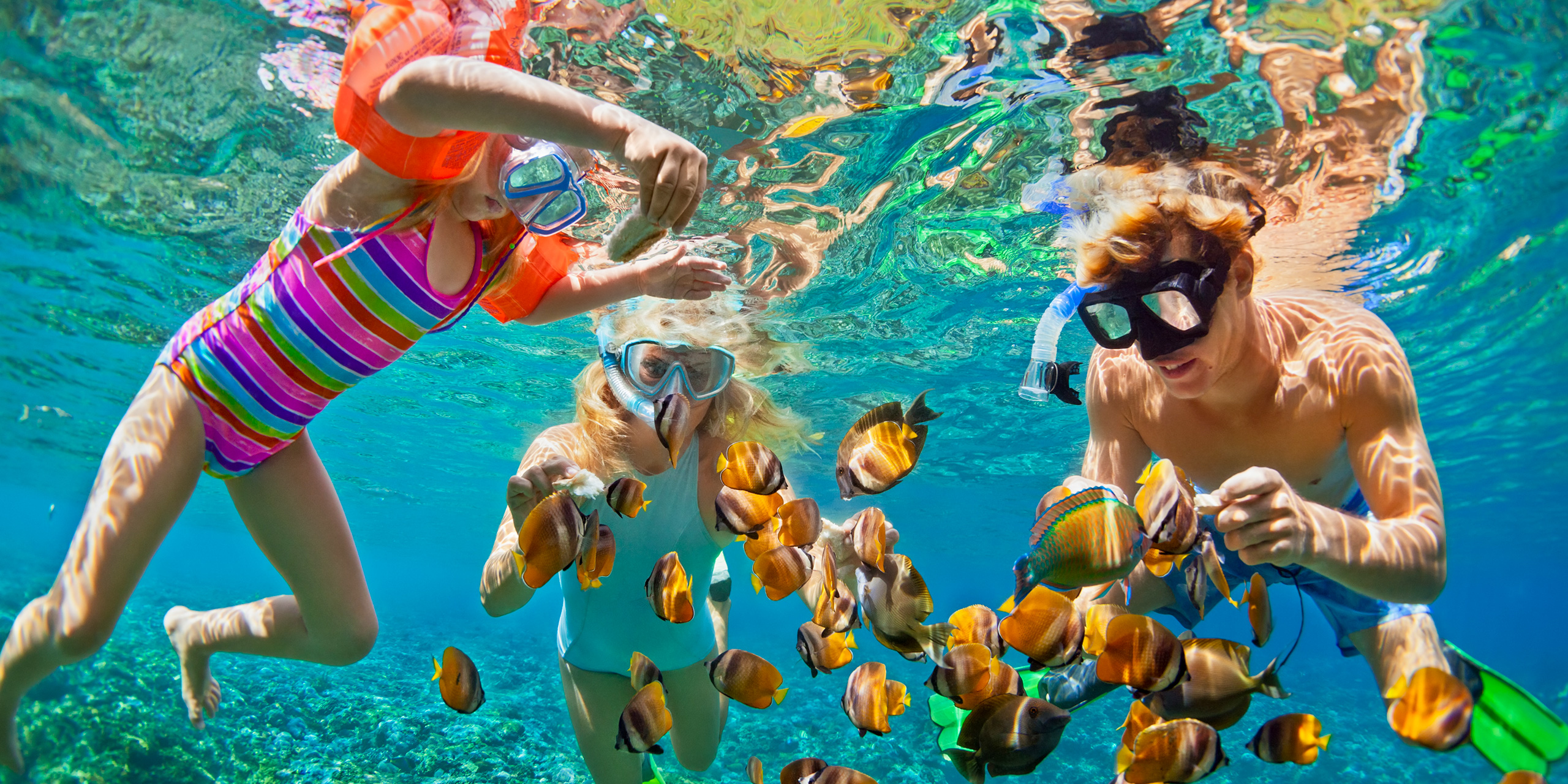 father, mother, child in snorkeling mask dive underwater with tropical fishes in coral reef sea pool; Courtesy of Tropical studio/Shutterstock