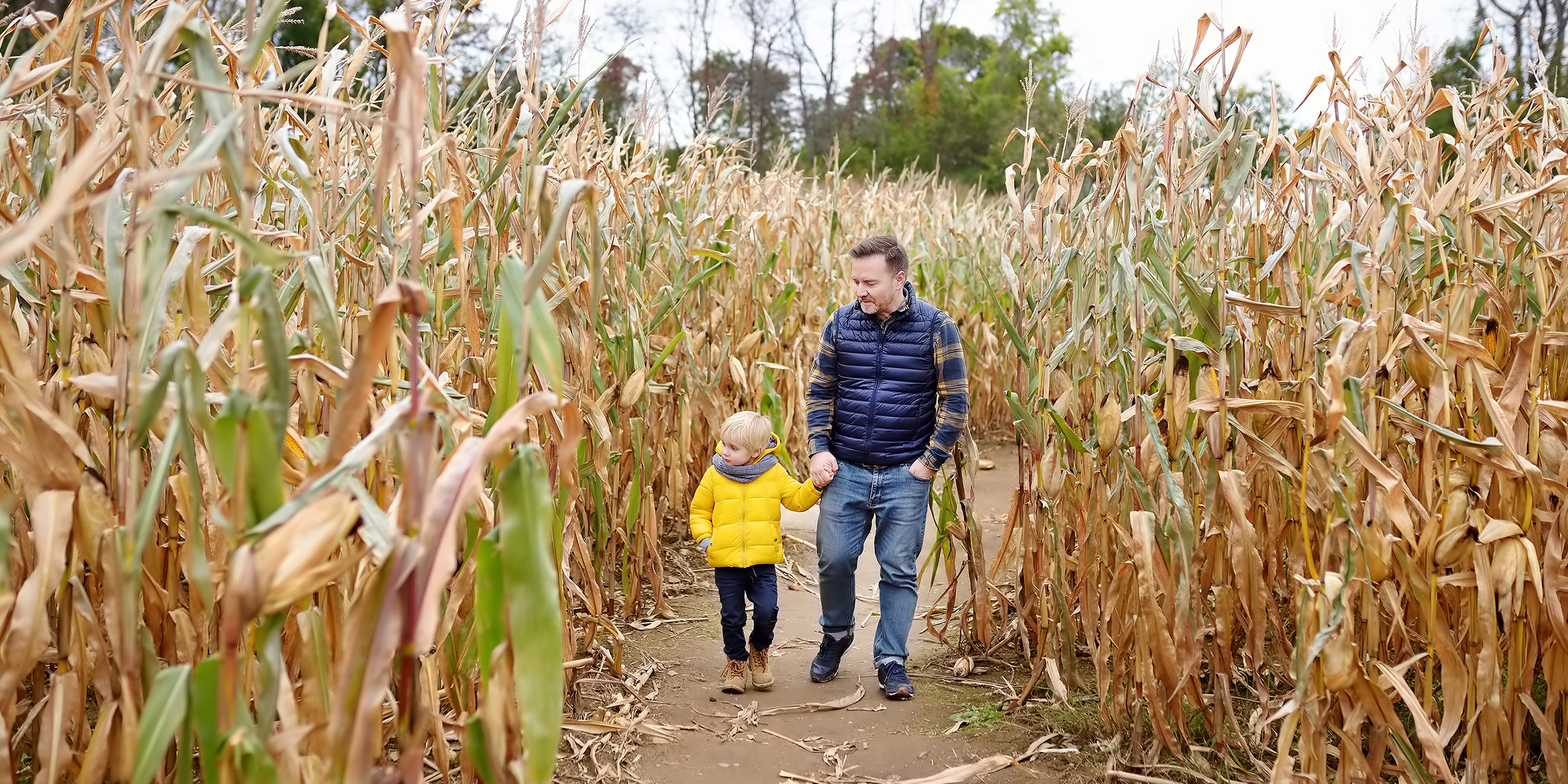 dad and son in corn maze; Courtesy of Maria Sbytova/Shutterstock