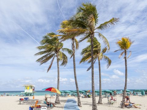Hollywood Beach, Florida Family Vacations; Courtesy of Philip Lange/Shutterstock.com