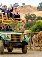 Safari West Attraction Tour; Courtesy of Safari West