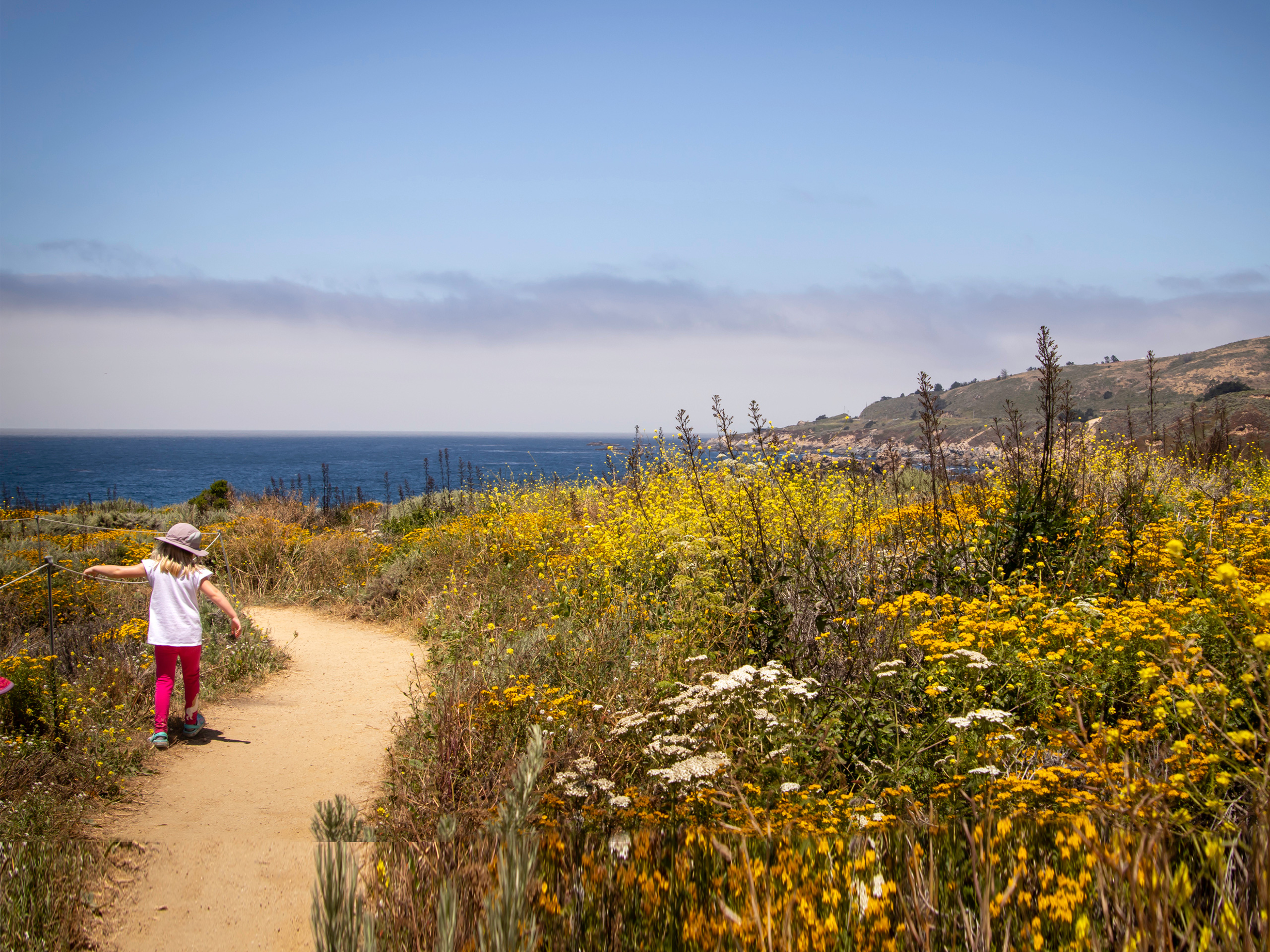 A little girl walks on a trail surrounded by yellow wildflowers at Garrapata State Park in Monterey, California; Courtesy of RS Smith Photography/Shutterstock