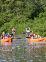 Kayaking with Third Coast Paddling in Michigan; Courtesy of Third Coast Paddling