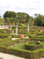 Bermuda Botanical Gardens; Courtesy of TripAdvisor Traveler jcacciola.jpg