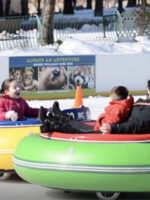 Ice Bumper Cars; Courtesy of Providence Link