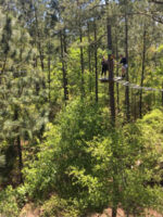 Go Ape! Treetop Adventure; Courtesy of TripAdvisor Traveler Chris B